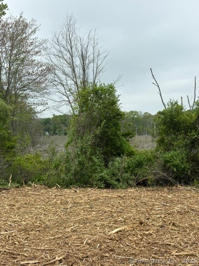 18 Fox Run Lane, Home with 0 bedrooms, 0 bathrooms and null parking in Killingworth CT | Image 7