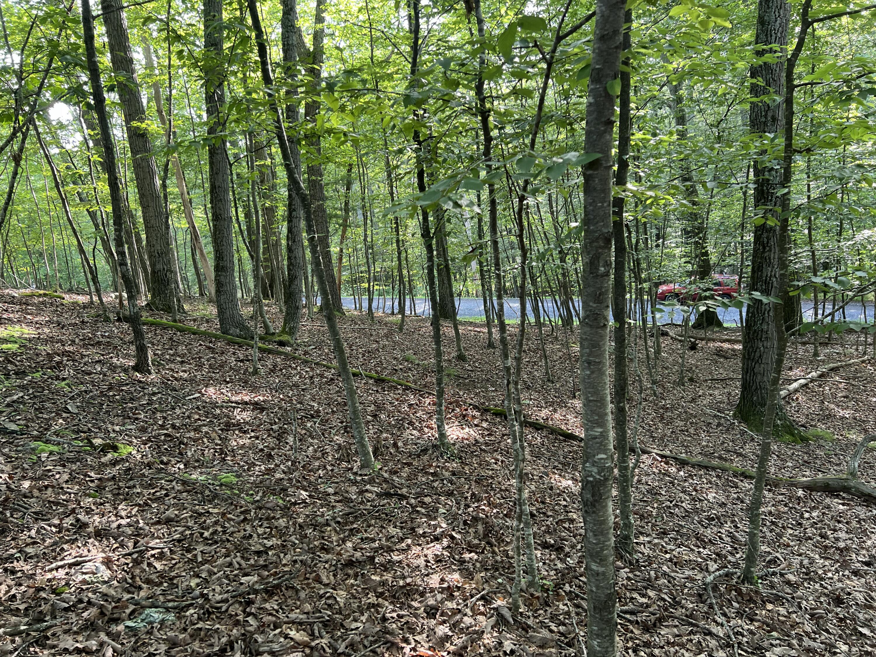 Land in East Stroudsburg 5
