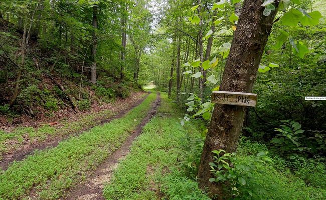 0 Allens Creek Rd, Home with 0 bedrooms, 0 bathrooms and null parking in GLADSTONE VA | Image 5