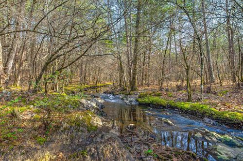 143 Sunny Day Ln, Mena, AR, 71953-8805 | Card Image