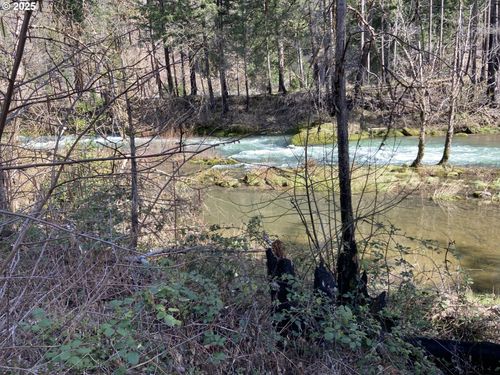 91303 Blue River Rd, Blue River, OR, 97413-9772 | Card Image