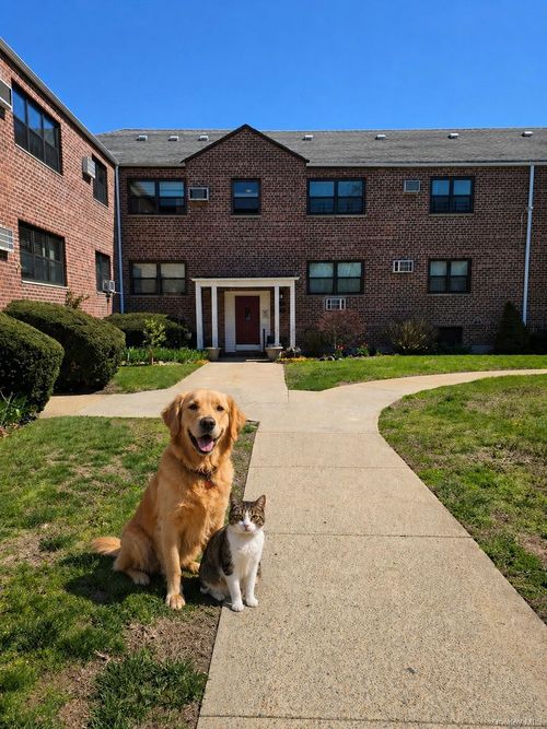 32-155-29 81st St, Howard Beach, NY, 11414-2318 | Card Image