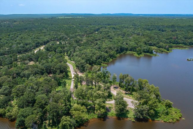 3109 Shadow Pine Dr, Home with 0 bedrooms, 0 bathrooms and null parking in Larue TX | Image 14