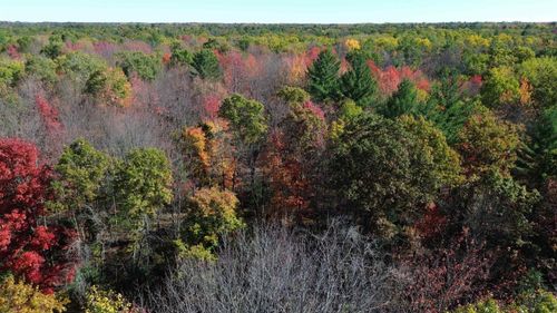 0 Timber Trail, Mills Township, MI, 48756 | Card Image