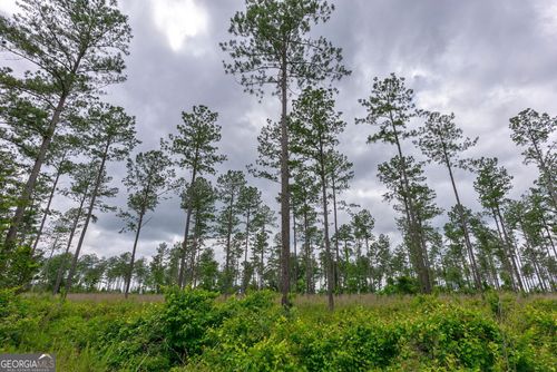 2 MCWHORTER Mcwhorter Rd, Stephens, GA, 30667 | Card Image