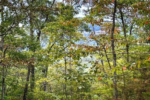 00A State Highway 11, Landrum, SC, 29356 | Card Image