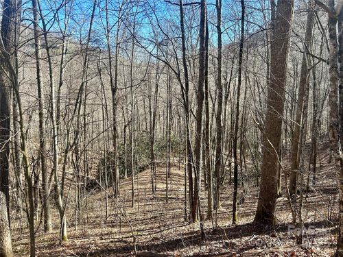 52and53-0 Deep Gap Rd, Whittier, NC, 28789 | Card Image