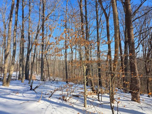 0 Country Club Rd, Appomattox, VA, 24522 | Card Image