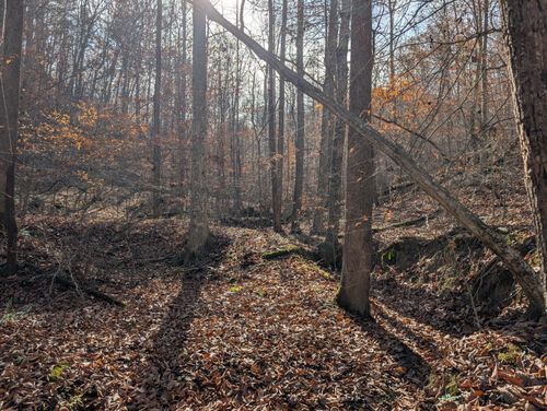 0 Old Caudill Rd, Stanton, KY, 40380 | Card Image