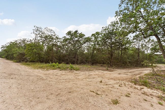 View of local wilderness | Image 12