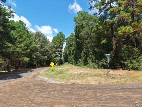 TBD County Road 127, Gary, TX, 75643 | Card Image