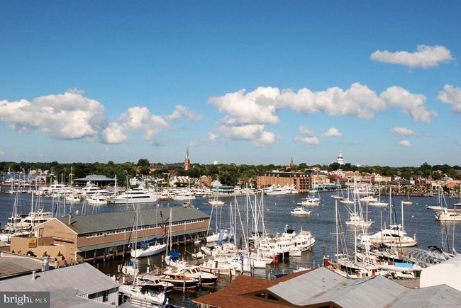 APT-202 - 1136 Cove Rd, Condo with 1 bedrooms, 1 bathrooms and null parking in ANNAPOLIS MD | Image 39