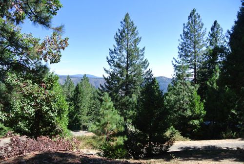6248 Church Street, Foresthill, CA, 95631 | Card Image
