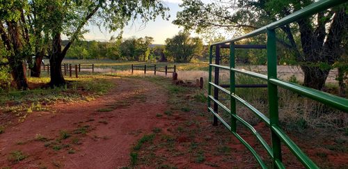 342 County Road B41e, Ribera, NM, 87560-8028 | Card Image