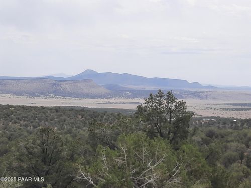 49203 N Sundance Way, Seligman, AZ, 86337 | Card Image