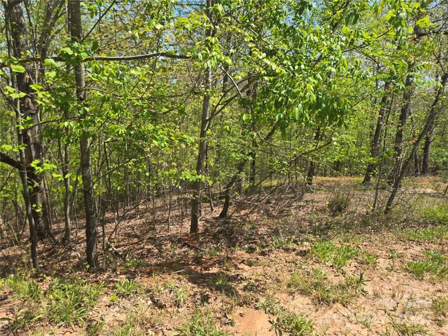 Lot 23 High Rock Rdg, Home with 0 bedrooms, 0 bathrooms and null parking in Lake Lure NC | Image 5