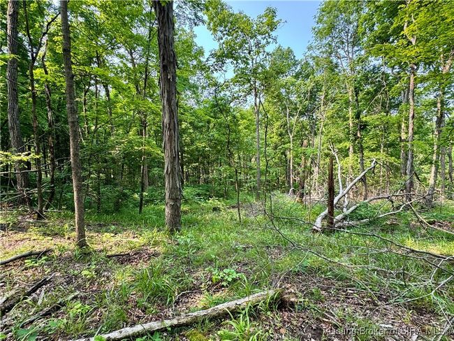 2 N Main St, Home with 0 bedrooms, 0 bathrooms and null parking in English IN | Image 9