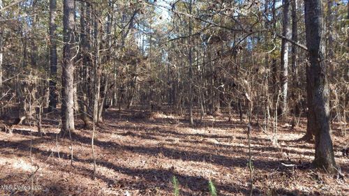 4561 Ennis Rd, Starkville, MS, 39759 | Card Image