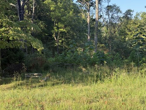 1190 Bell Hollow Rd, Vanleer, TN, 37181-5000 | Card Image