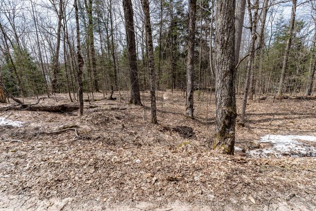 0 Bird Lake Rd, Home with 0 bedrooms, 0 bathrooms and null parking in Bracebridge ON | Image 27