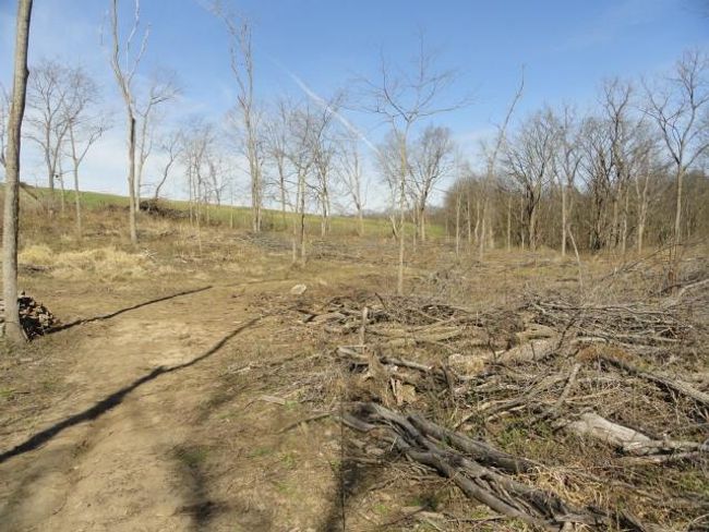 10.45 Acres Ringhand Rd, Home with 0 bedrooms, 0 bathrooms and null parking in SYLVESTER WI | Image 35