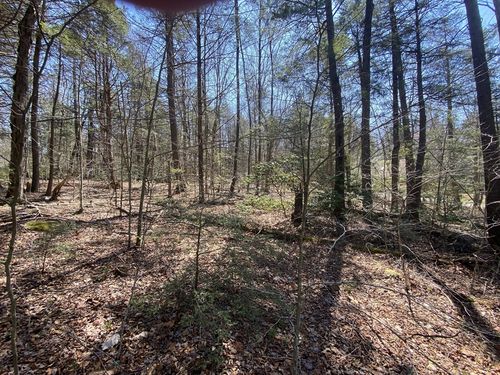 Lot 43 S Village Rd, Tolland, MA, 01034-9462 | Card Image