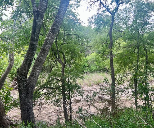 41 - TBD Blanco Ave, Home with 0 bedrooms, 0 bathrooms and null parking in Blanco TX | Image 10