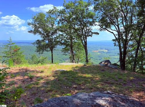 lot-62-0 Southview Ledge Road, Landrum, SC, 29356 | Card Image
