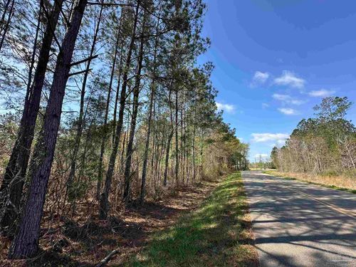 Lot A1 Snider Ave, Frisco City, AL, 36445 | Card Image
