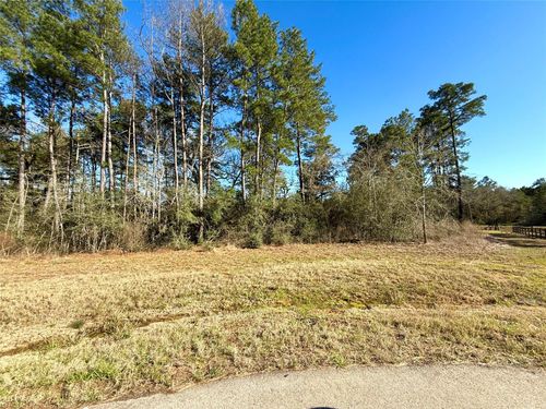 26601 Buchanan Ct, Magnolia, TX, 77355-1519 | Card Image