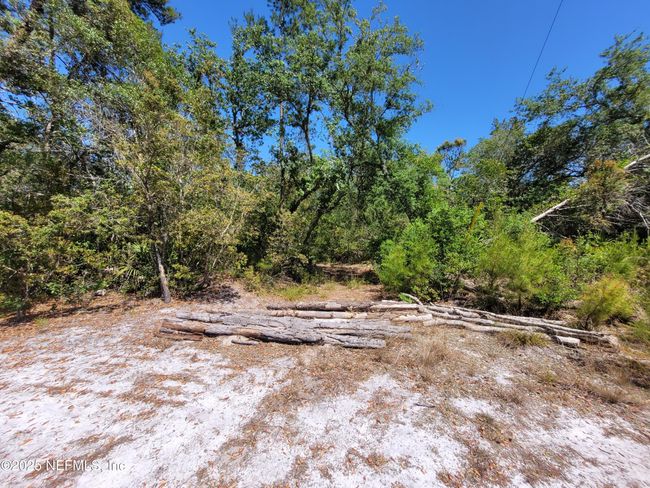 2155 State Road 40, Home with 0 bedrooms, 0 bathrooms and null parking in De Leon Springs FL | Image 67