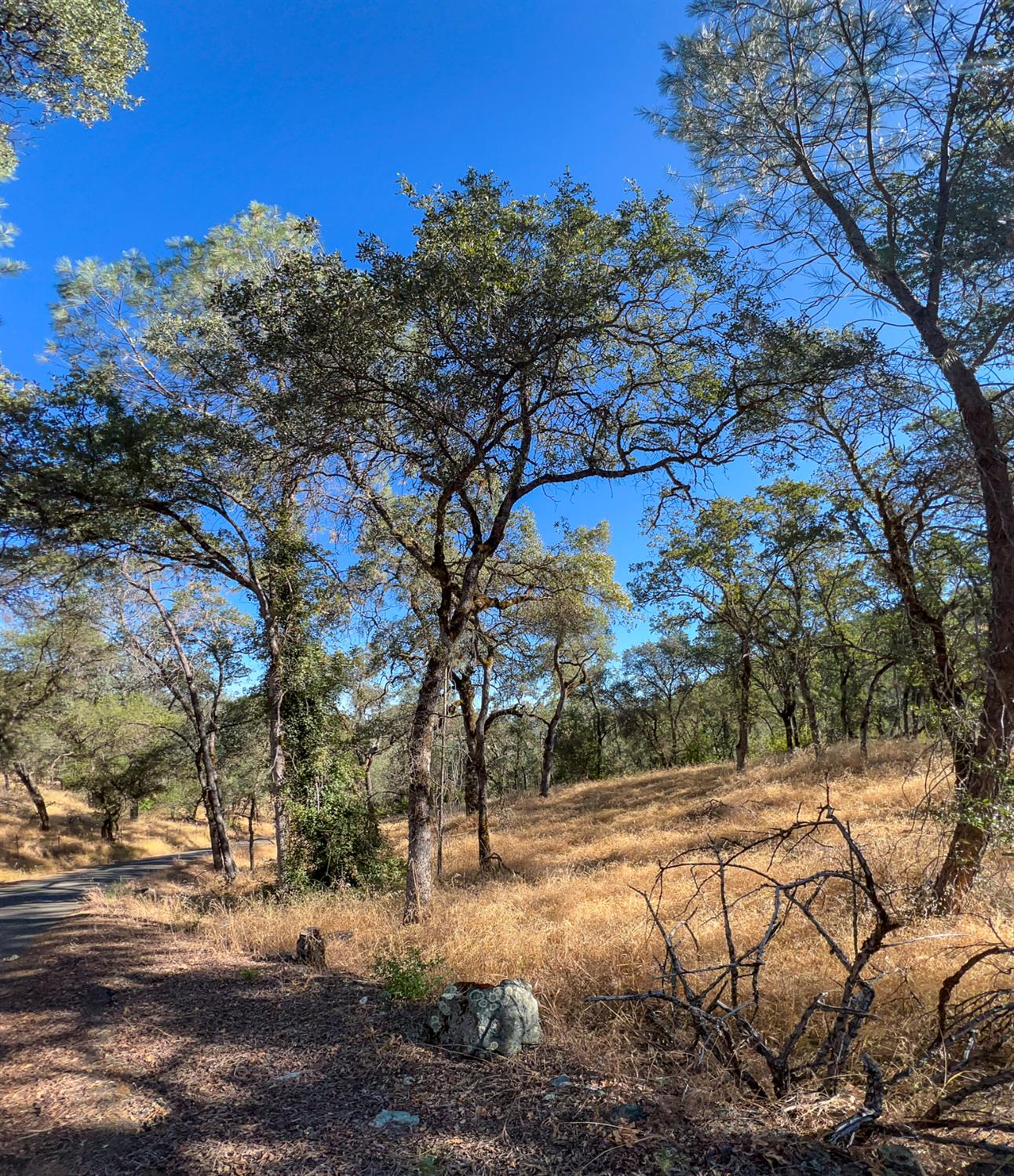 Land in Placerville 3
