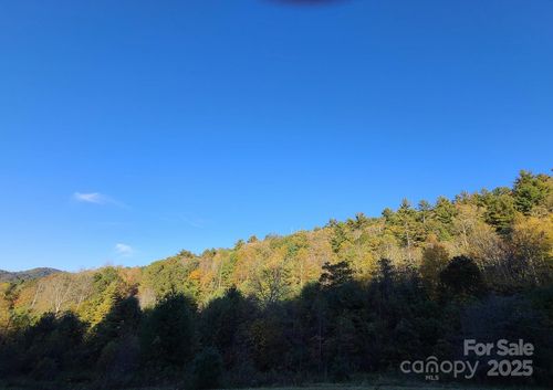 Tracts 2A & 2B Rabbit Skin Road, Waynesville, NC, 28785 | Card Image