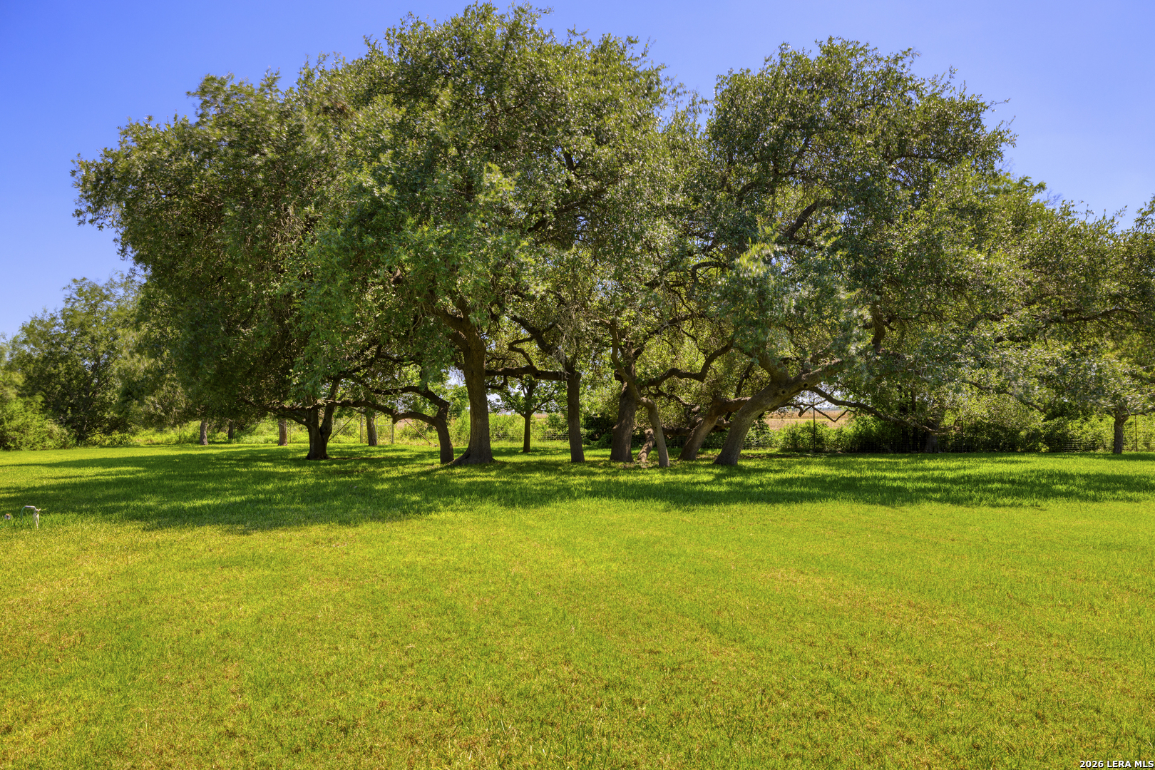 Residential in Uvalde 5