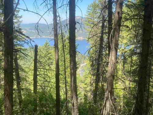 NNA N Deer Lake Rd, Loon Lake, WA, 99148 | Card Image