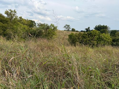 4252 E Highway 36, Owingsville, KY, 40360-8525 | Card Image