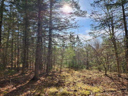 151 Church Ln, Au Sable Forks, NY, 12912-4405 | Card Image