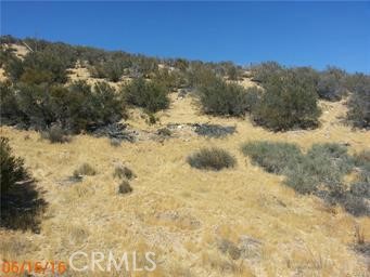 Land in Hesperia
