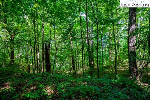 29 Marta Ln, Zionville, NC, 28698 | Card Image