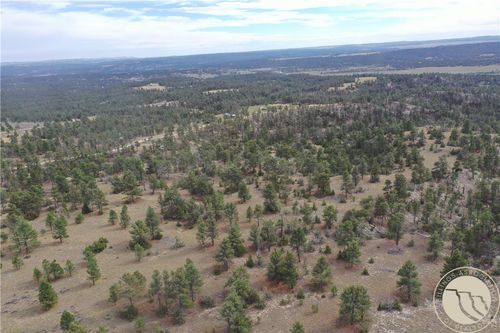 0 Echo Ave/Fallow Ln, Roundup, MT, 59072 | Card Image