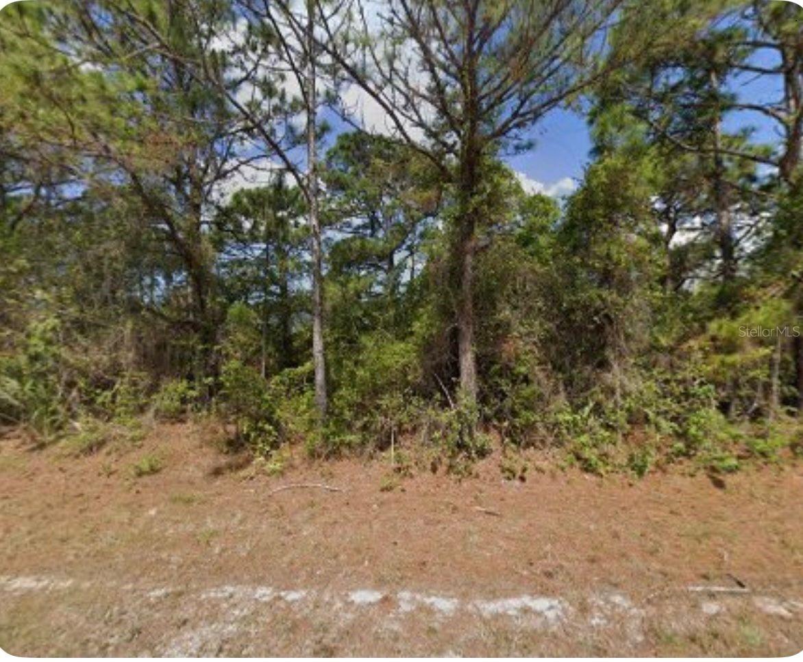 Land in PORT CHARLOTTE 2
