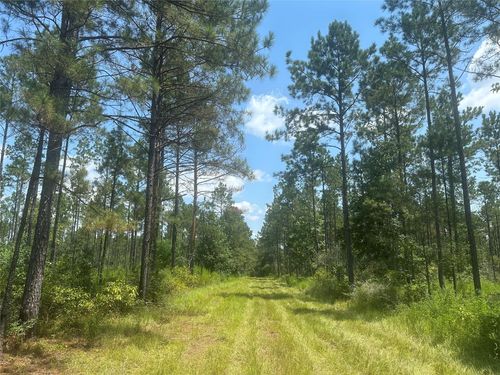 TBD Fm 1005, Jasper, TX, 75951 | Card Image