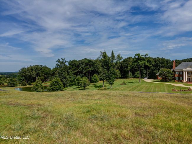 13-Ground-3 | Image 13