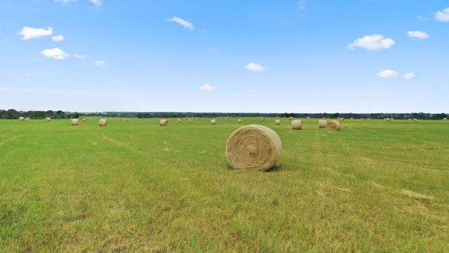 119 - TBD Fm 2689, Home with 0 bedrooms, 0 bathrooms and null parking in Gorman TX | Image 4