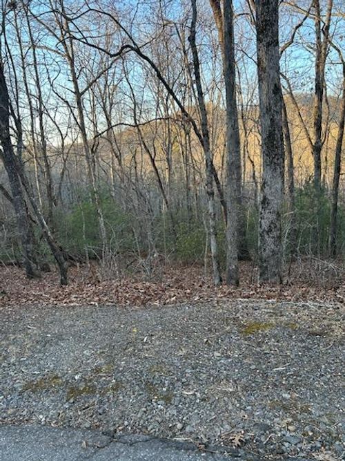 Lot 39 Konahetah Rd, Hiawassee, GA, 30546 | Card Image
