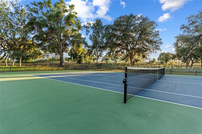 7351 Spring Mountain Ln, House other with 5 bedrooms, 4 bathrooms and null parking in YALAHA FL | Image 100