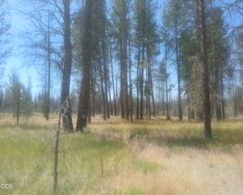 34228 Zebra Ln, Bonanza, OR, 97623-3217 | Card Image