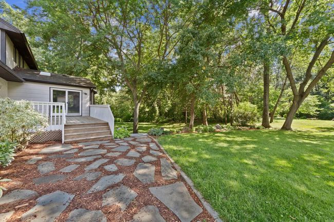 5 Back.jpg | Image 9