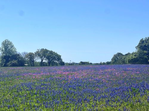 119 Fm 1227 Rd, Navasota, TX, 77868 | Card Image