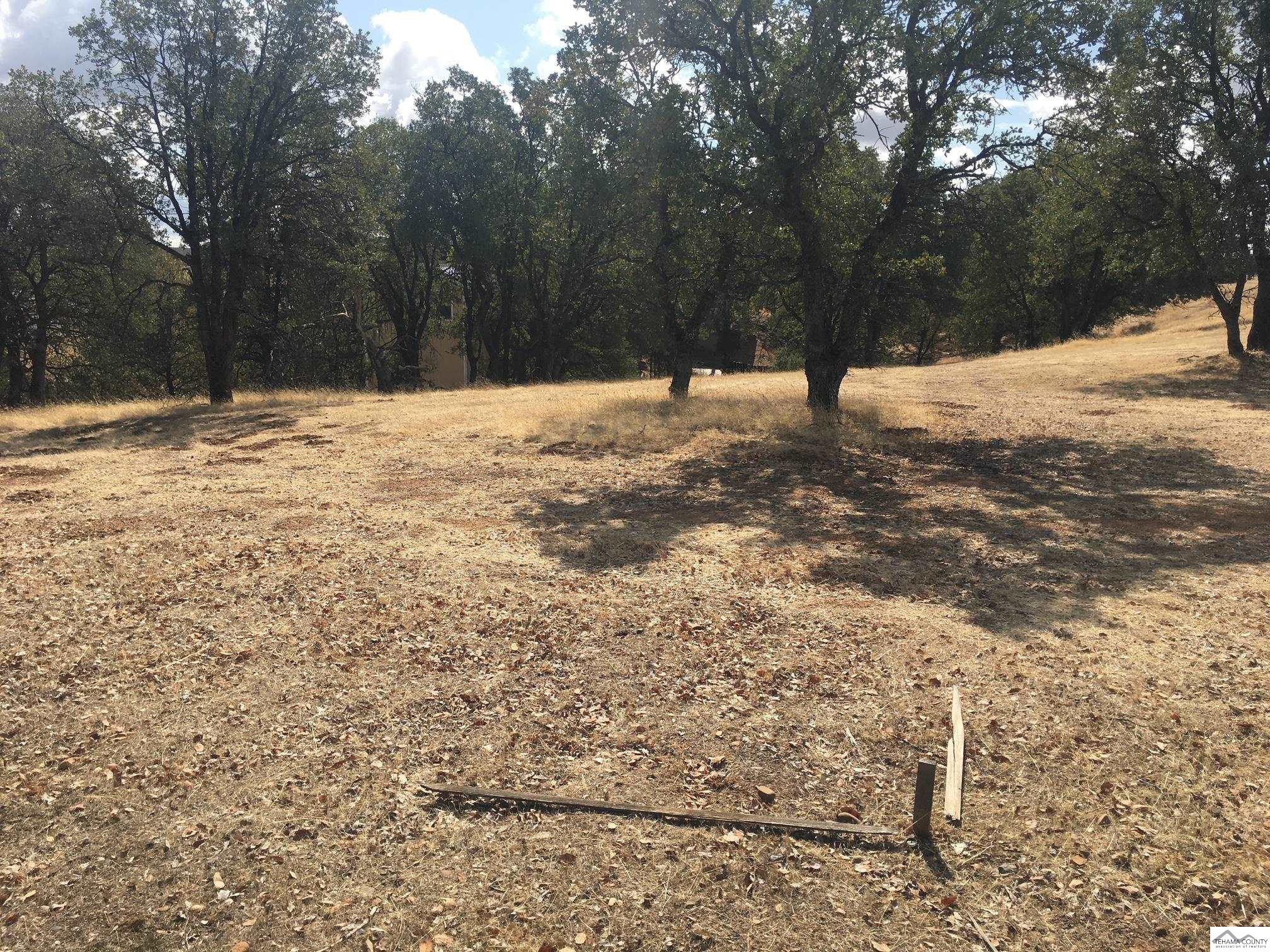 Land in Cottonwood 3